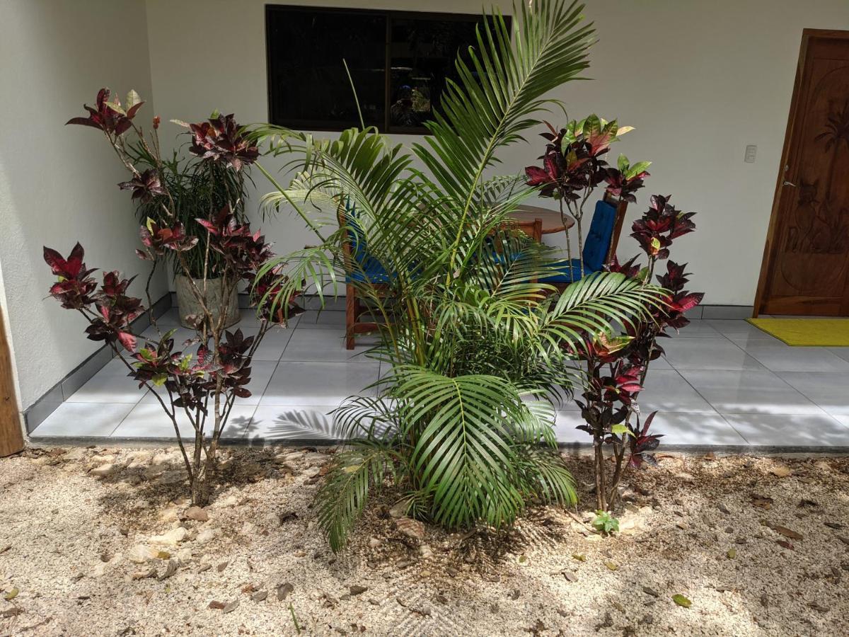Nosara Paradise Rentals Exterior photo